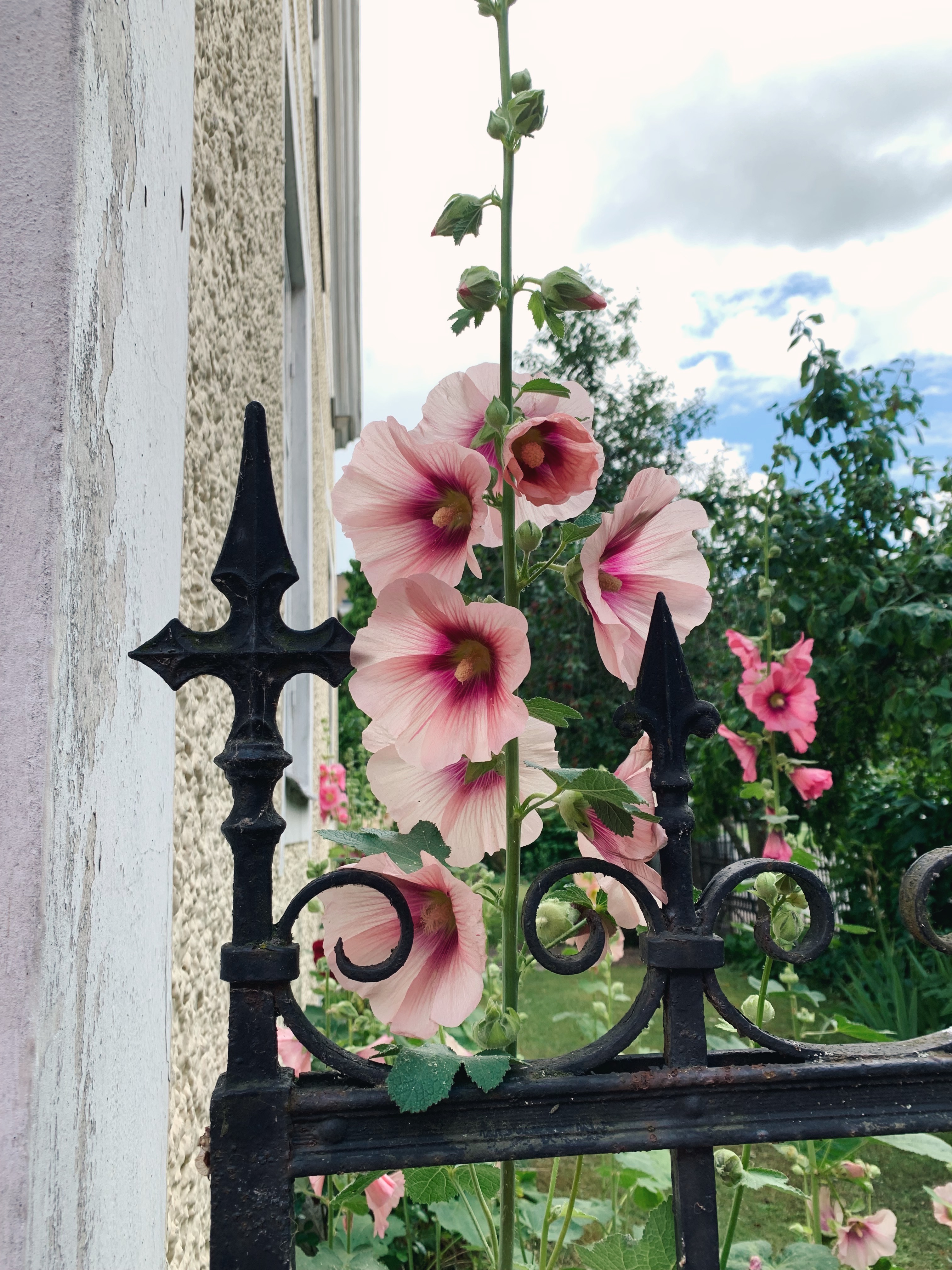 F58421D7 8CC5 42B2 9BBF 4D455DAF4069