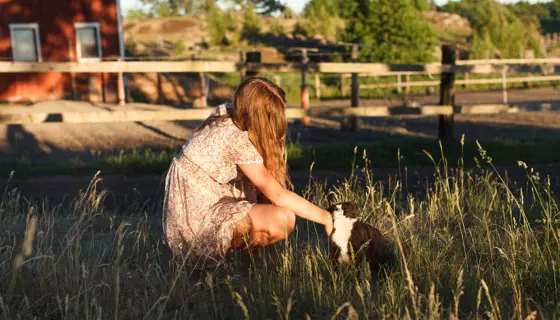 Flicka Med Katt Gård