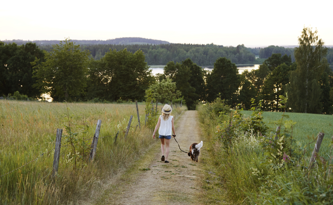 Miljömässig Hållbarhet